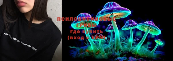 эйфоретик Елабуга