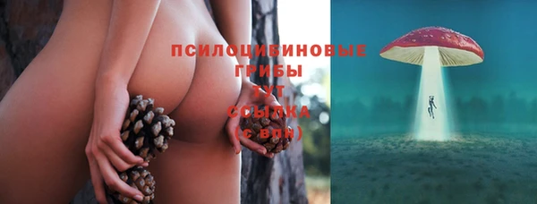 эйфоретик Елабуга