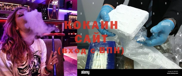ALPHA PVP Елизово