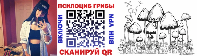 Псилоцибиновые грибы Psilocybine cubensis  Инза 