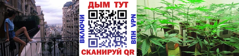 Марихуана SATIVA & INDICA Инза